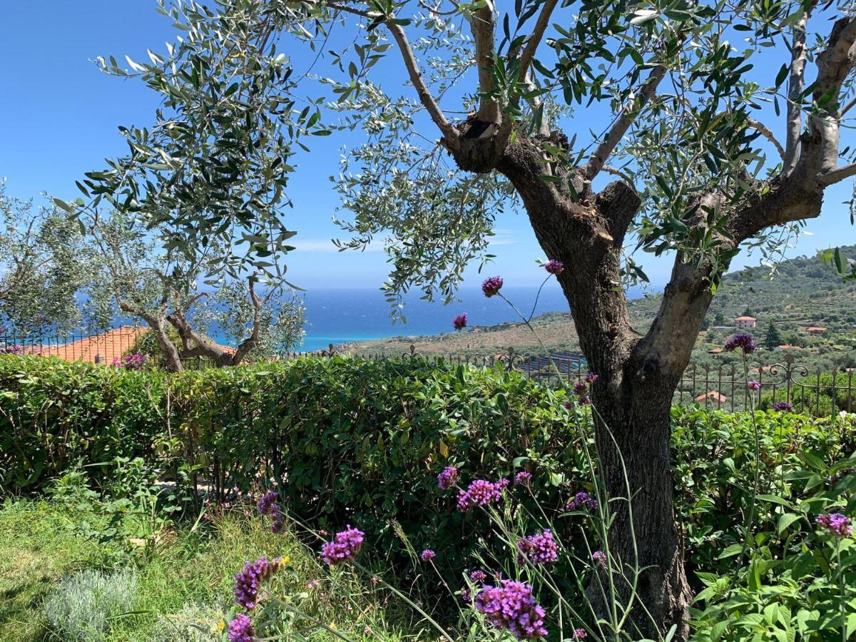 Agriturismo L'Orto Di Muma Gorleri 外观 照片